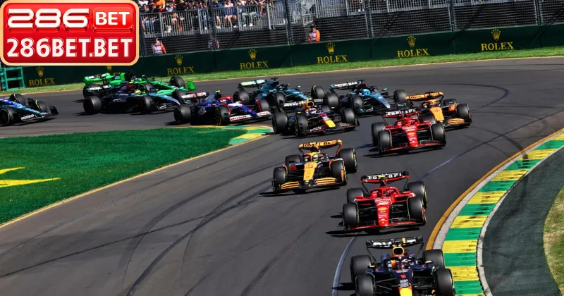 Các Mẹo Cược Đua Xe 2026 – Chiến Thuật Chinh Phục Nhà Cái Các mẹo cược đua xe giúp dự đoán chính xác thứ hạng