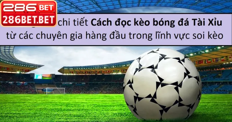 Hướng dẫn cách đọc kèo tài xỉu trên bảng điện tử nhà cái