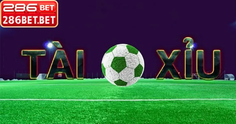 Phân tích dữ liệu thực tế giúp cách đọc kèo tài xỉu chuẩn