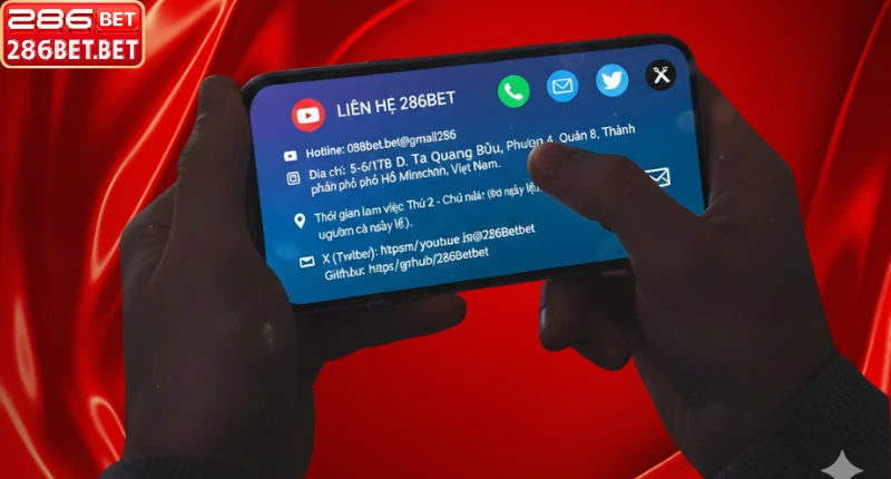 Tổng hợp các kênh liên hệ 286bet nhanh nhất 2026