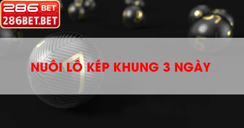 Niềm vui chiến thắng lô kép khung 3 ngày tại nhà cái