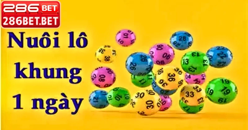 Niềm vui chiến thắng lô khung 1 ngày tại nhà cái 286BET