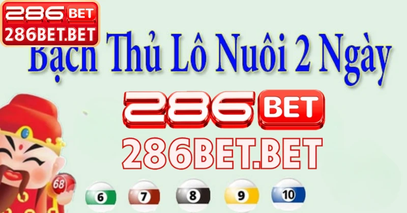 Trải nghiệm nuôi lô bạch thủ khung 2 ngày tại 286bet